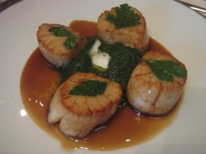 Scallops with spinach puree